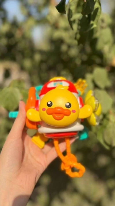 سنسوری برد جوجه