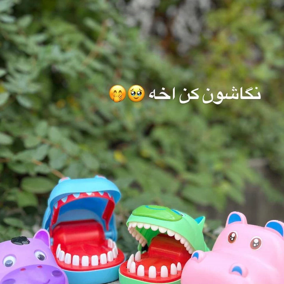 دندان اسب آبی