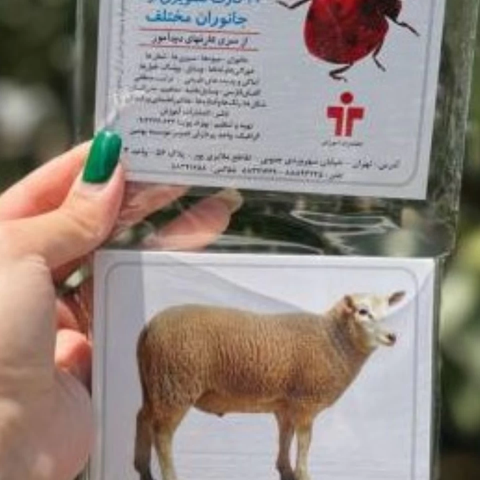 کارت دیدآموز جانوران