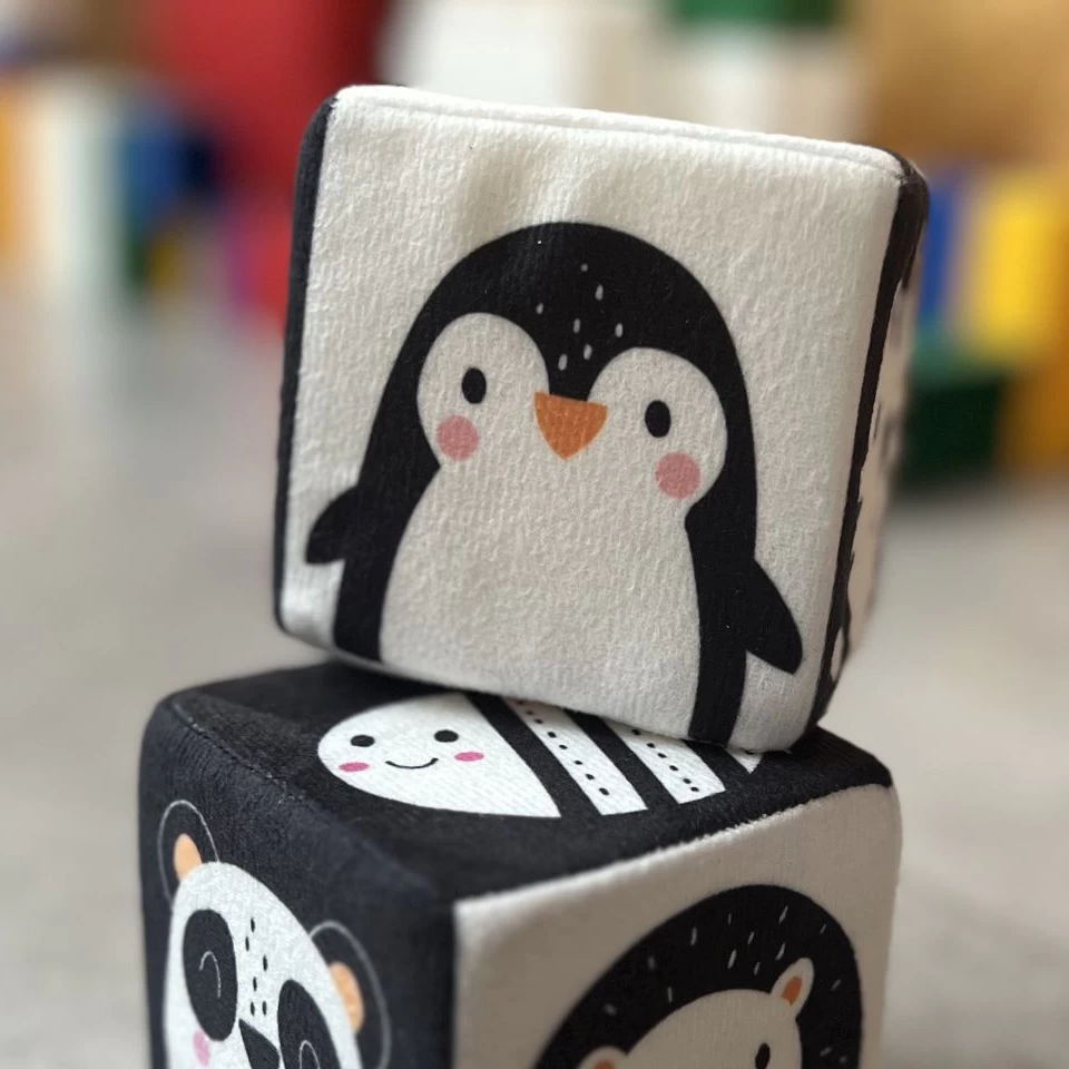 مکعب سیاه و سفید