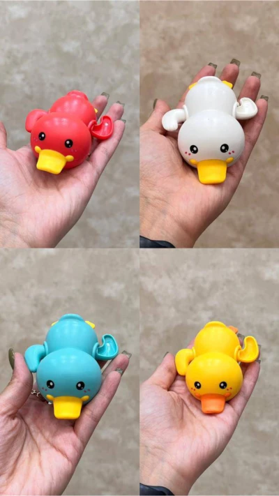 اردک شناور خوابیده