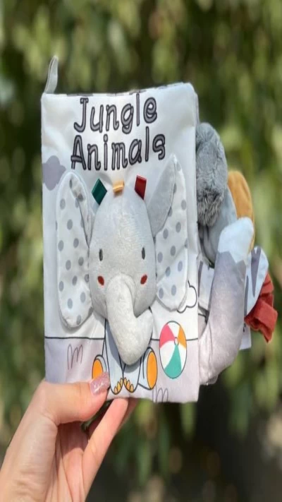 کتاب حسی دم دار طوسی  فیلی