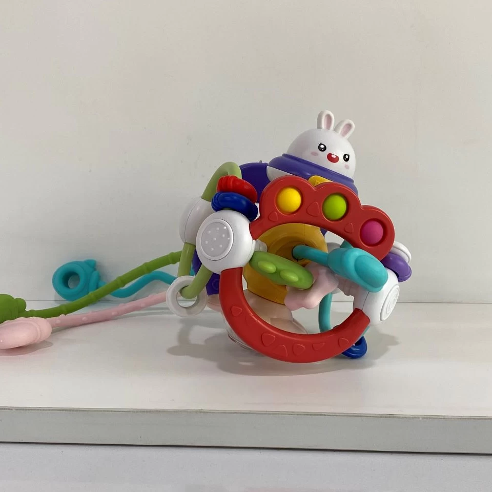 سنسوری برد خرگوش