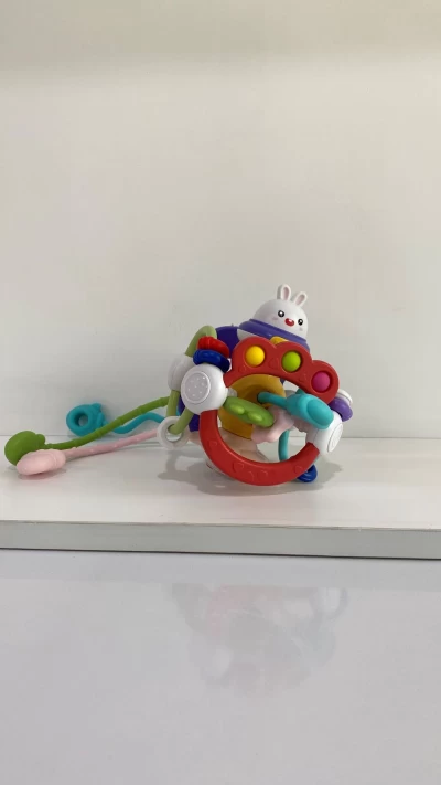 سنسوری برد خرگوش