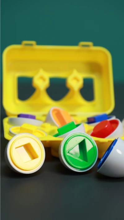 شونه تخم مرغ فکری