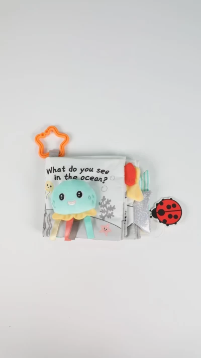 کتاب حسی مربع طوسی اختاپوس