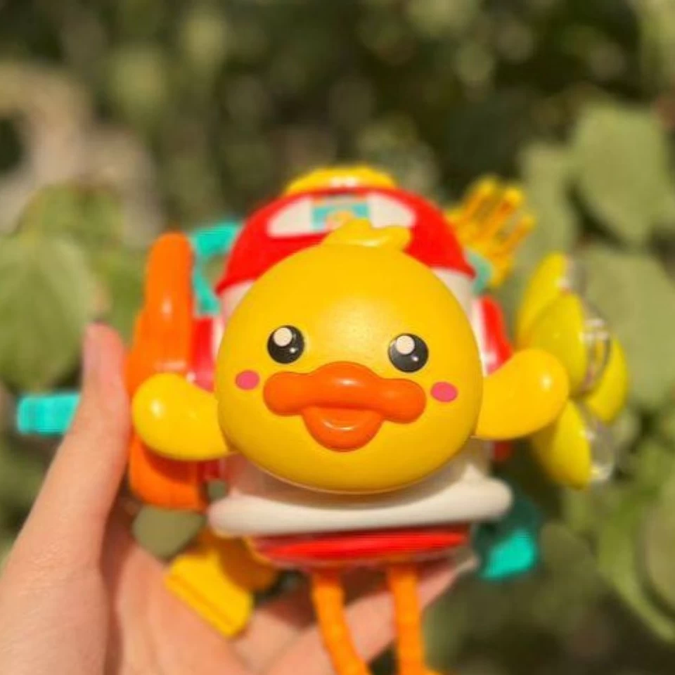 سنسوری برد جوجه