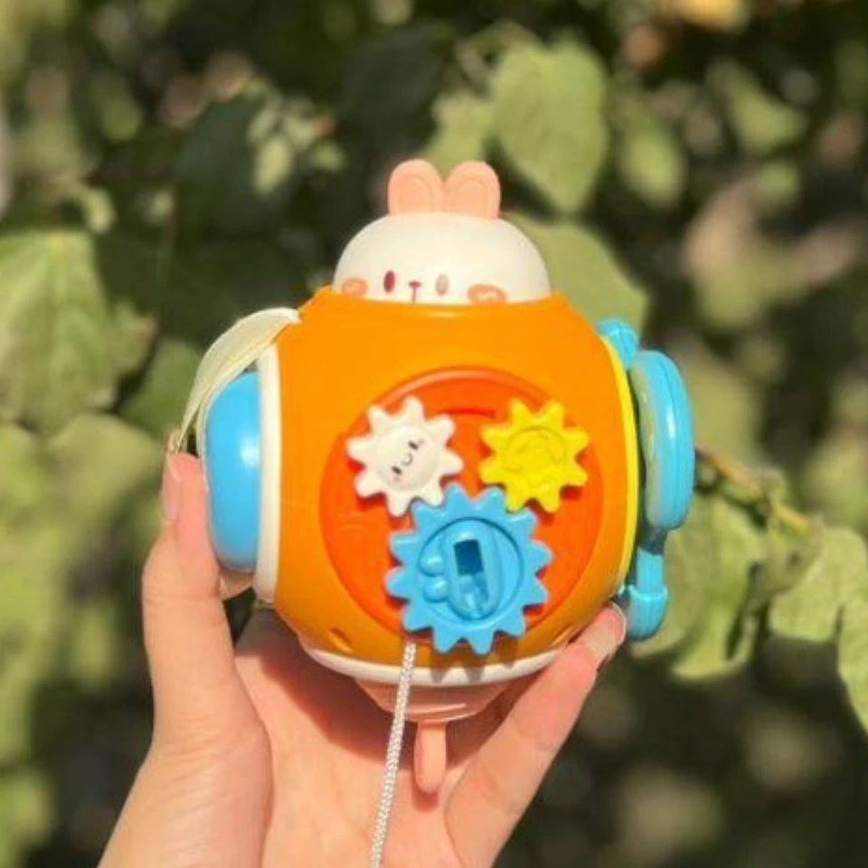 سنسوری برد خرگوشی