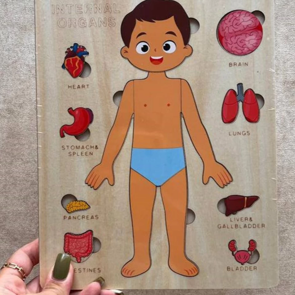 پازل چوبی اندام پسر