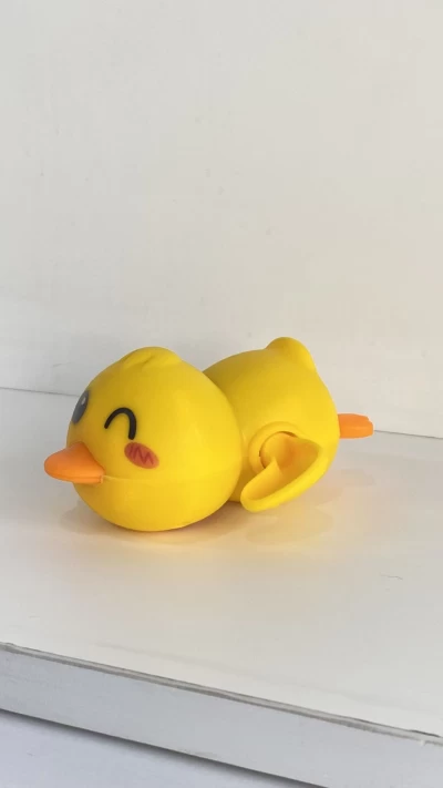 اردک خوابیده شناور