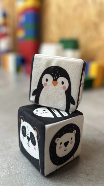 مکعب سیاه و سفید